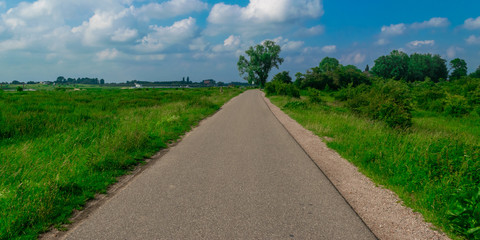 Road in polder landscape