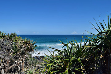  An Amazing Alexandria Bay Noosa National Park