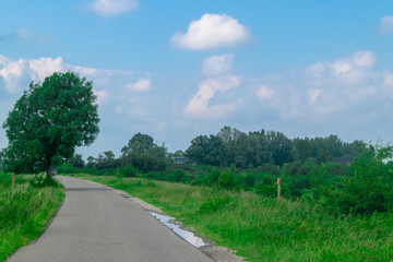 Fototapeta na wymiar Road in polder landscape