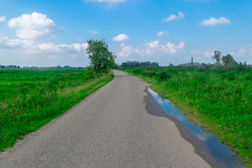 Road in polder landscape