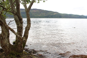 Fototapeta na wymiar Lago di Lochness