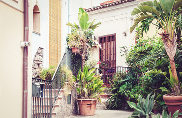 Staircase and plants in tubs in the courtyard of the house in Acitrezza, Catania, Sicily, Italy.
