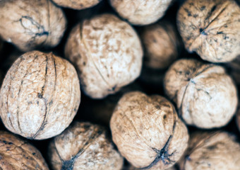 Natural walnut in shell background pattern texture.