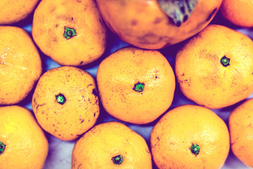 Fresh whole mandarin oranges background with Persimmon, top view.