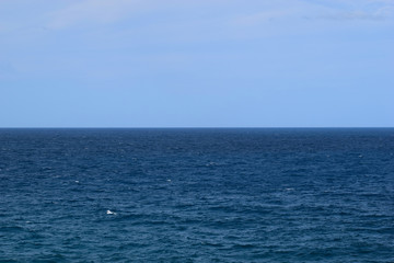 Obraz premium An amazing ocean in Noosa National Park