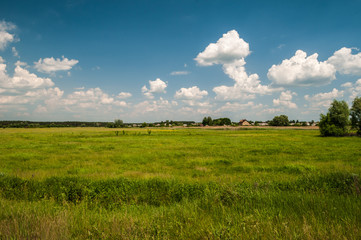 Fototapeta premium field with a beautiful cloudy sky