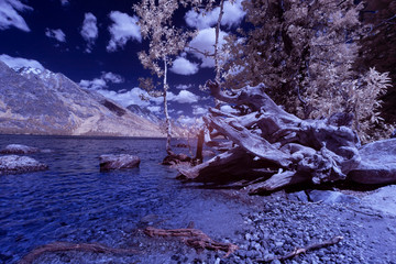 A fresh water lake in Montana, USA taken in Infra Red.