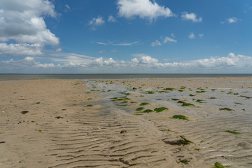 Fototapeta na wymiar Sylt -View to Wadden Sea at List at low tide/ Germany