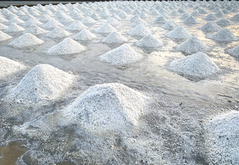 Sea salt farm in Thailand. Organic sea salt. Evaporation and crystallization of sea water. Raw...