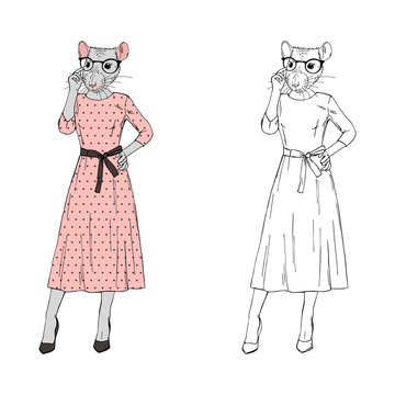 Humanized rat woman hipster dressed up in pink dotty dress and glasses. Hand drawn vector illustration. Furry art image. Anthropomorphic animal.