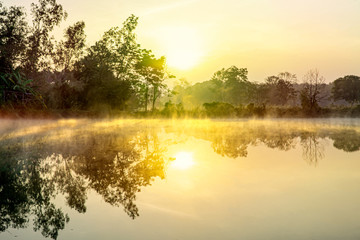 Fototapeta na wymiar Beautiful landscape view of sunrise reflect on the river, Green tree shadow on water surface with flare light in the morning, Fog on water surface in winter