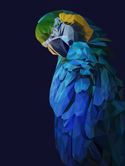 Low poly illustration of blue parrot