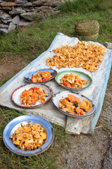 Chanterelle mushrooms displayed on blanket and plates in Madagascar