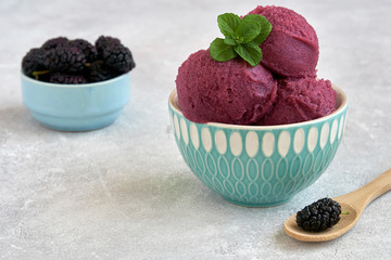 Homemade mulberry ice cream , sorbet with ripe mulberries and mint leaves. Closeup	