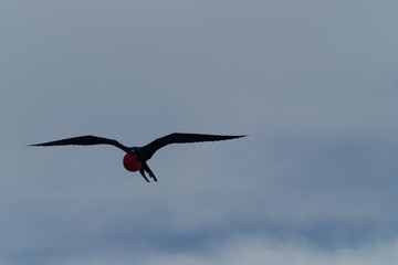 Galapagos Landschaften