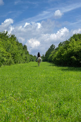 Beautiful lush green grass surrounded with tall and thick shrubbery, blue sky with white clouds at the horizon, woman riding on white horse in the distance 