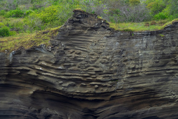 Galapagos landschafte und vögel