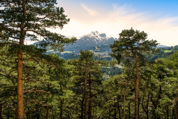 Alps View in the middle of the forest from Innsbruck Austria