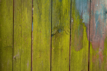 Background of old wooden moss covered wooden boards