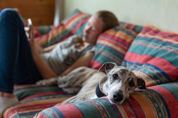 junges Mädchen mit ihrem Hund auf dem Sofa