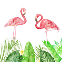 Beautiful watercolor hand drawn vector illustration of exotic rose bird -  pink flamingo. Tropical palm leaves, floral summer. Print for wrapping, wallpaper, cards, textile, surface textures