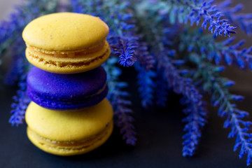 macaroons with a sprig of lavender