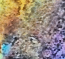 Abstract background in mixed colors. Oil and watercolor design elements. Design template for covers, posters and banners. Simple macro close-up paint brush strokes.