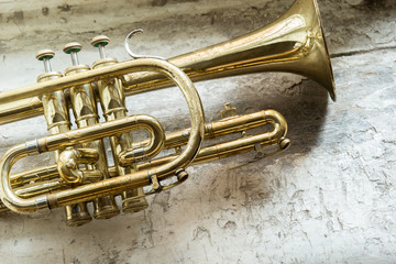 Obraz na płótnie Canvas gold trumpet on a grey wooden background