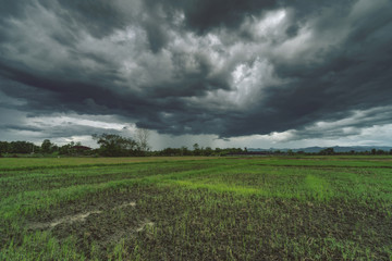 Field agriculture and rain clouds natural background