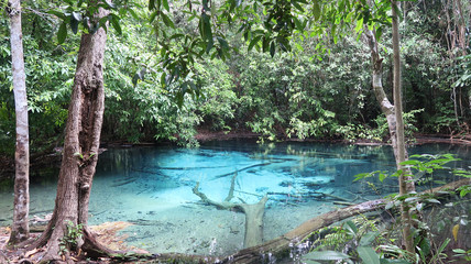 Blue Pool in Krabi, Thailand in the Emerald Lake National Park - Made From A Natural Spring and Clean, Un-touched, Pure Water.