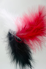 Beautiful abstract texture color red gray blue and black feathers on white isolated background and pattern wallpaper