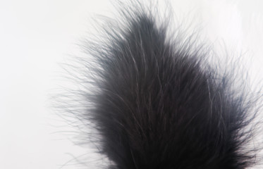 Beautiful abstract texture color red gray blue and black feathers on white isolated background and pattern wallpaper