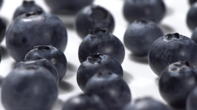 Ar&aacute;ndanos sobre fondo blanco