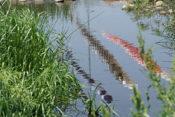 川面に映る鯉のぼり