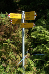 Walkers' signpost on Palfries, near Walenstadt, Swiss Alps