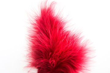 Beautiful abstract texture color red gray blue and black feathers on white isolated background and pattern wallpaper