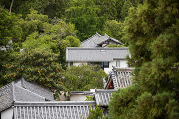 Fototapeta na wymiar Overhead view of quiet Japanese neighborhood and traditional buildings in forest