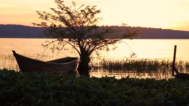Wooden fishing boat lies next to tree by the shore as sun sets over Lake Victoria. Beautiful view of water and distant island from coast of Kalangala, Uganda.