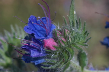 Композиция