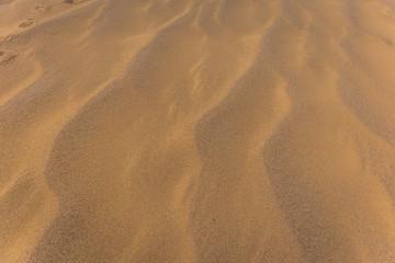sand dunes in the desert