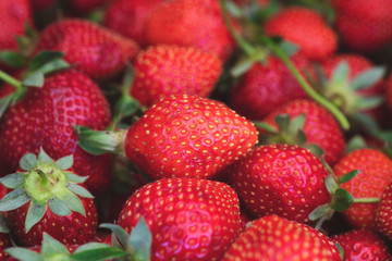 set in a box of strawberries before eating