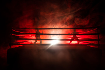 Blurred background. mma fight octagon stage. ring extreme Sport mixed martial arts competition tournament