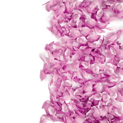 Fototapeta premium Rose petals border on a white background, 3d rendering. Tender romantic love card design elements. Realistic 3d rose petals frame edge for ads or natural cosmetic products. Valentines Day background.