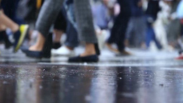 東京　渋谷スクランブル交差点　6月　梅雨　雨の日　ローアングル　足元