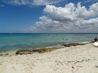 Dominicana. Flora. Fauna. Interesting places.