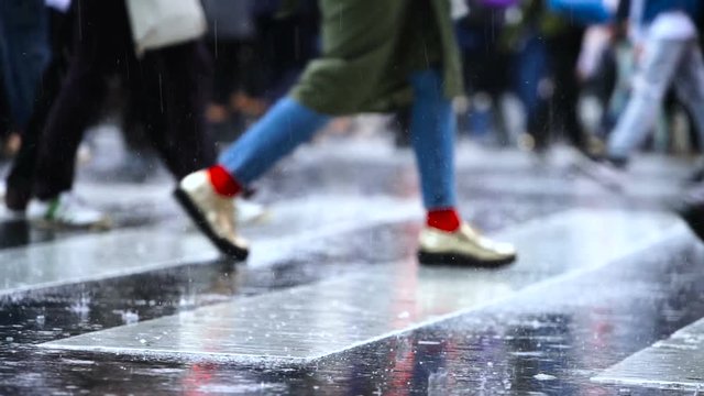 東京　渋谷スクランブル交差点　6月　梅雨　雨の日　ローアングル　足元　スロー　4倍速