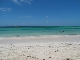 Dominicana. Flora. Fauna. Interesting places.