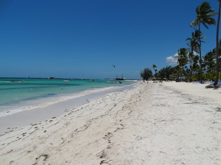 Dominicana. Flora. Fauna. Interesting places.