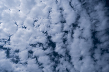 bright blue sky with white clouds