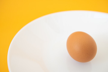 brown raw egg in white plate on yellow background